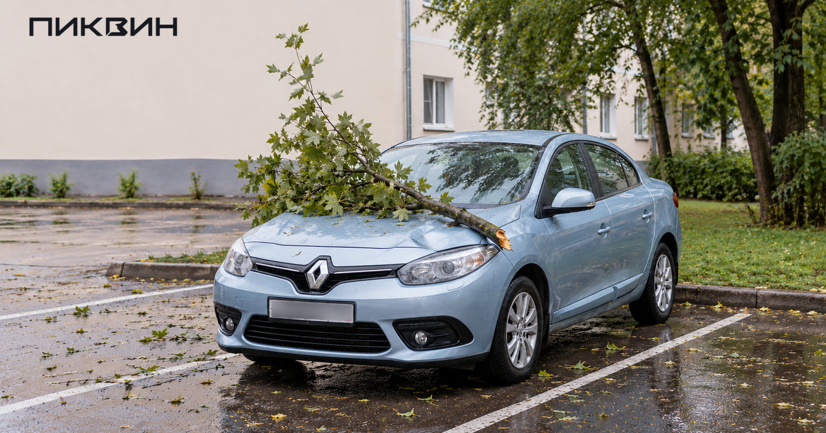 Припаркованный Renault с упавшей веткой и вмятиной на капоте