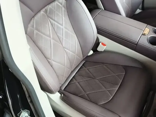 Leapmotor Leapmotor C11 2024 Extended Range 300 Premium Edition — Фото автомобиля 24