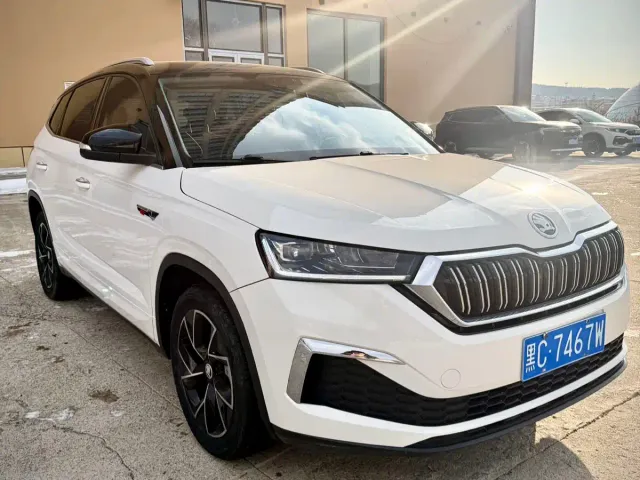 Skoda Kamiq — Фото автомобиля 3