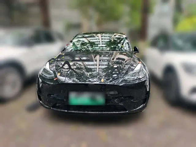 Tesla Model Y — Фото автомобиля 2