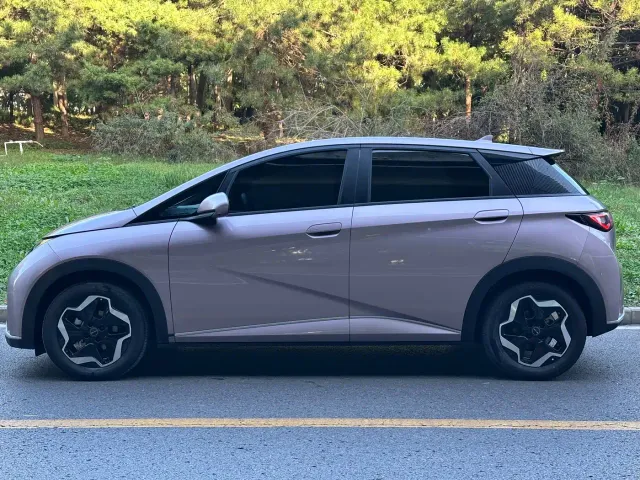 BYD Dolphin — Фото автомобиля 4