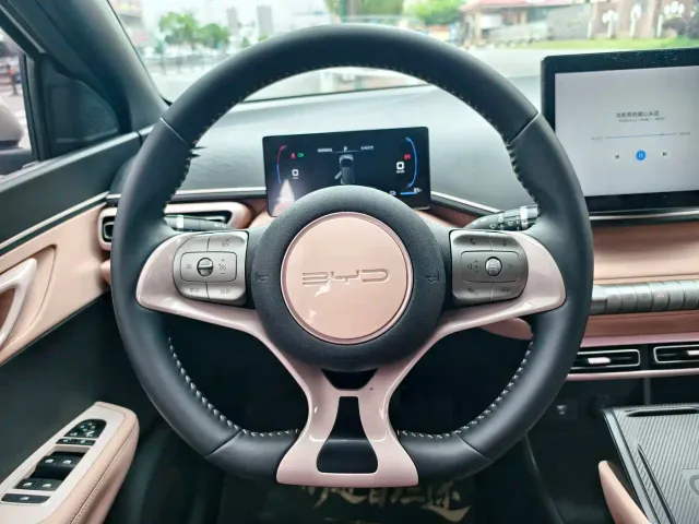 BYD Seagull — Фото автомобиля 6