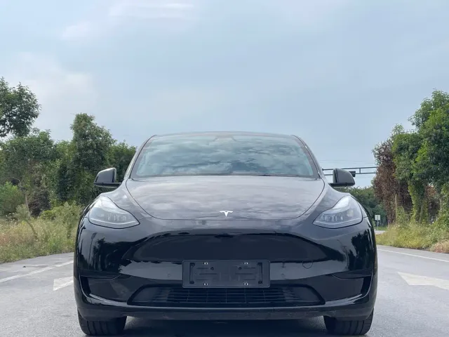 Tesla Model Y — Фото автомобиля 2