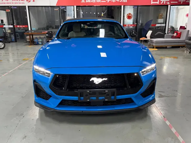 Ford Mustang — Фото автомобиля 12