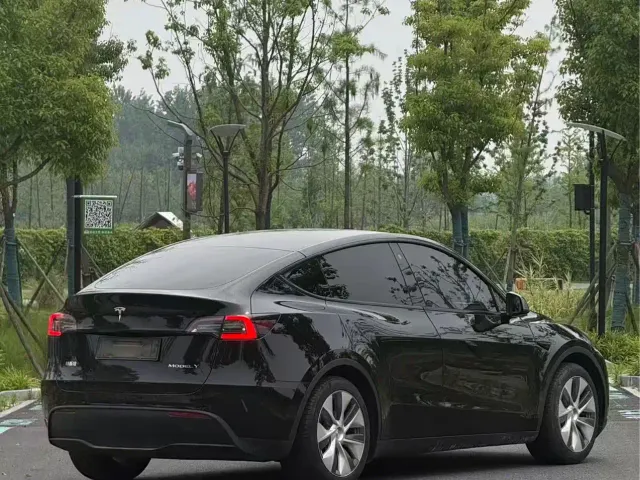 Tesla Model Y — Фото автомобиля 8