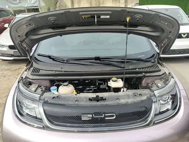 BYD Dolphin — Фото автомобиля 19