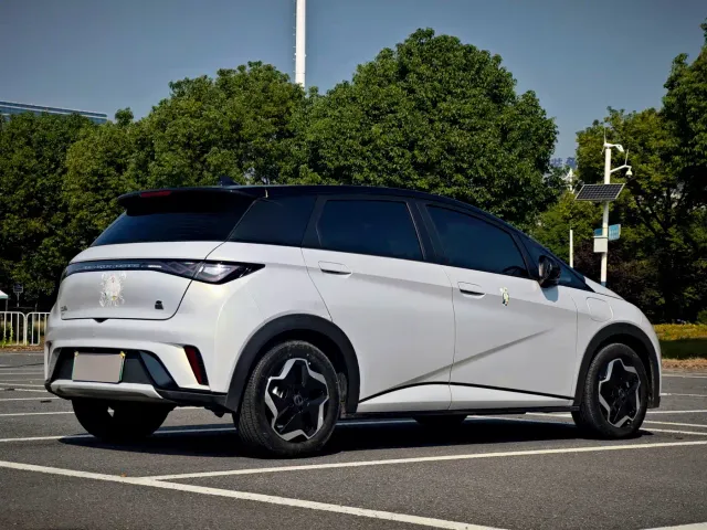 BYD Dolphin — Фото автомобиля 6