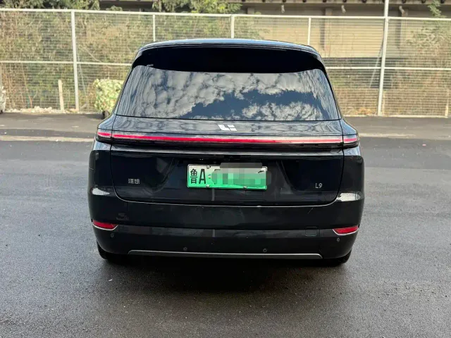 Li Auto L9 — Фото автомобиля 6