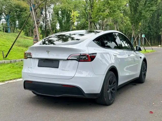 Tesla Model Y — Фото автомобиля 5