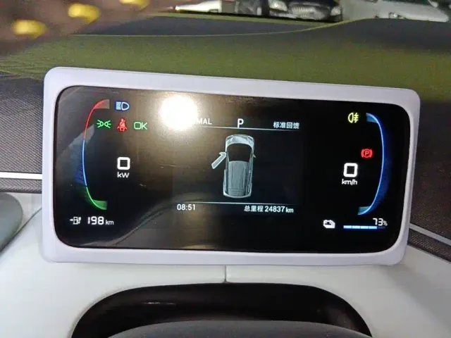 BYD Seagull 2024 Glory Edition 305km Freedom Edition — Фото автомобиля 11