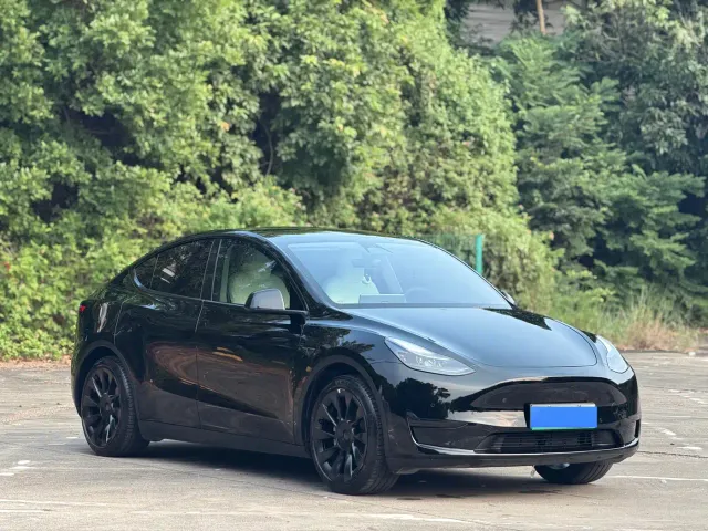 Tesla Model Y — Фото автомобиля 3