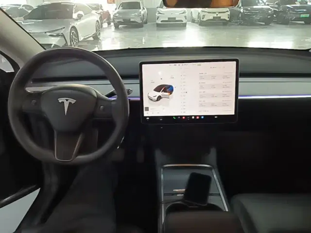 Tesla Model Y — Фото автомобиля 9