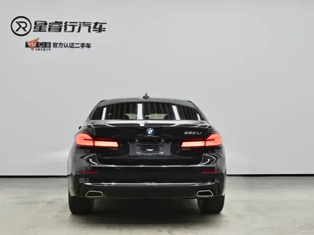 BMW 5 Series — Фото автомобиля 4
