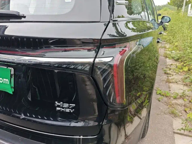 Hongqi HS7 PHEV — Фото автомобиля 7