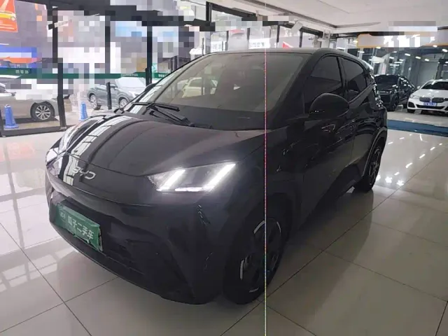 Фотография автомобиля — BYD Seagull