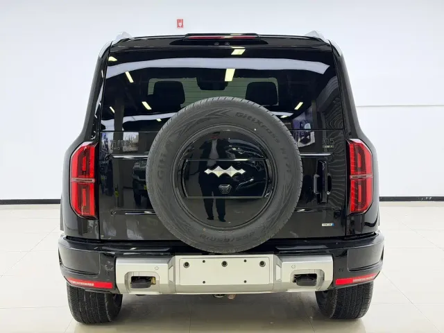 BYD FangChengBao Leopard 5 — Фото автомобиля 8