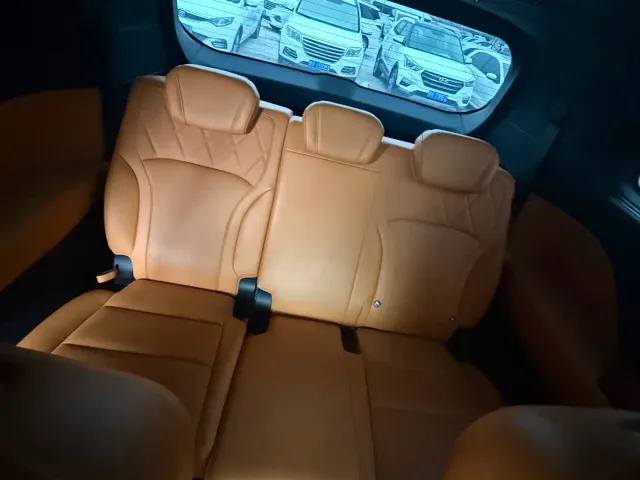 Wey Alpine — Фото автомобиля 16