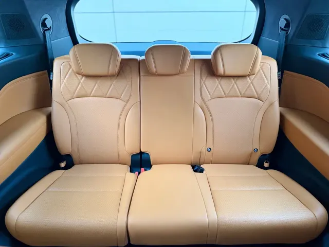 Wey Alpine — Фото автомобиля 24