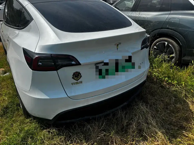 Tesla Model Y — Фото автомобиля 3