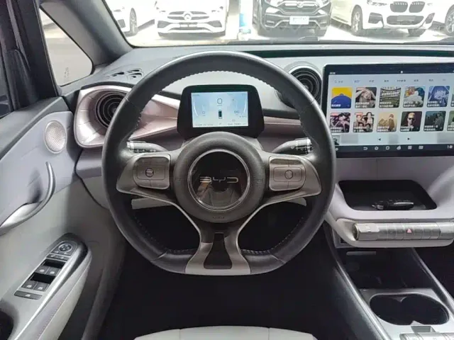 BYD Dolphin — Фото автомобиля 10
