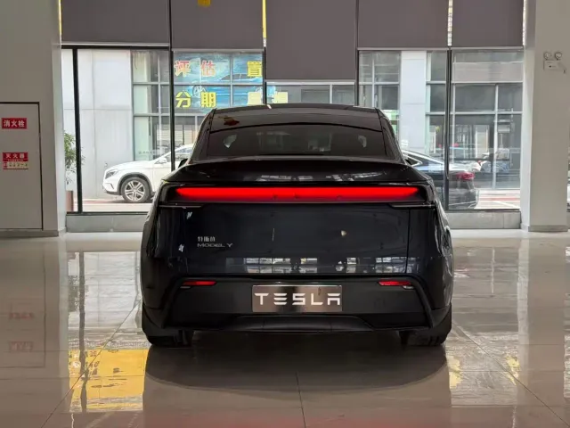 Tesla Model Y — Фото автомобиля 8