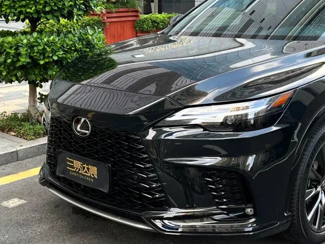 Lexus RX — Фото автомобиля 21