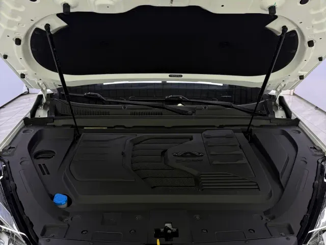 Chery Tiggo 7 PLUS — Фото автомобиля 24
