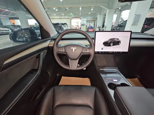 Tesla Model Y — Фото автомобиля 19