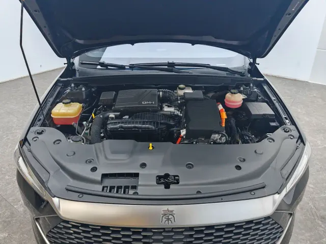 BYD Qin PLUS — Фото автомобиля 12