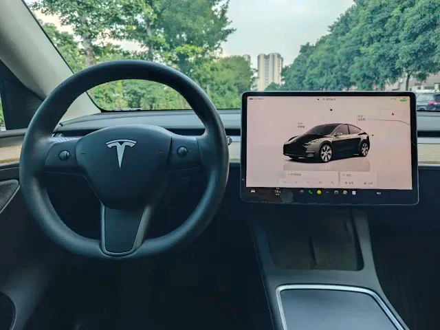 Tesla Model Y — Фото автомобиля 11