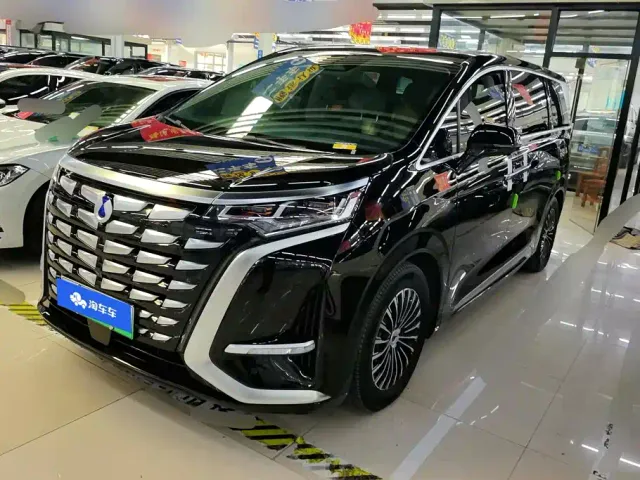 Фотография автомобиля — Denza D9