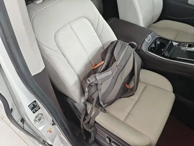 GAC Trumpchi M8 — Фото автомобиля 24