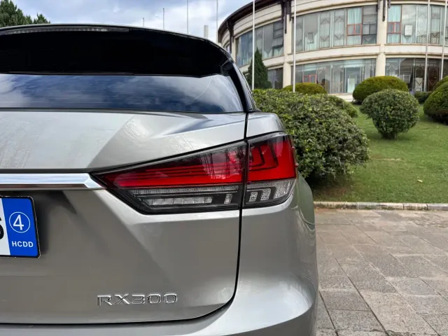 Lexus RX — Фото автомобиля 10