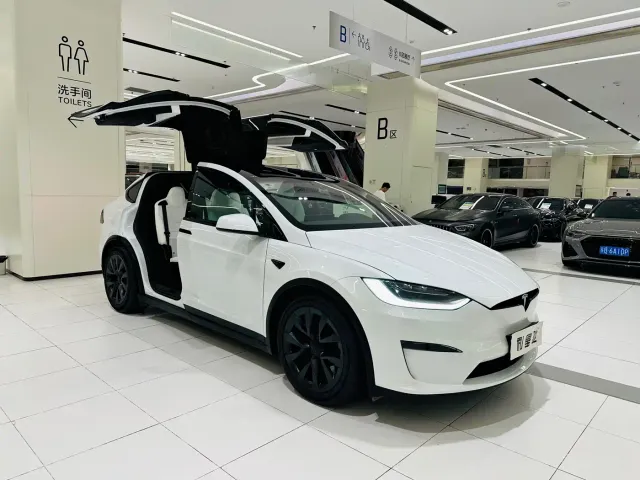 Tesla Model X — Фото автомобиля 21