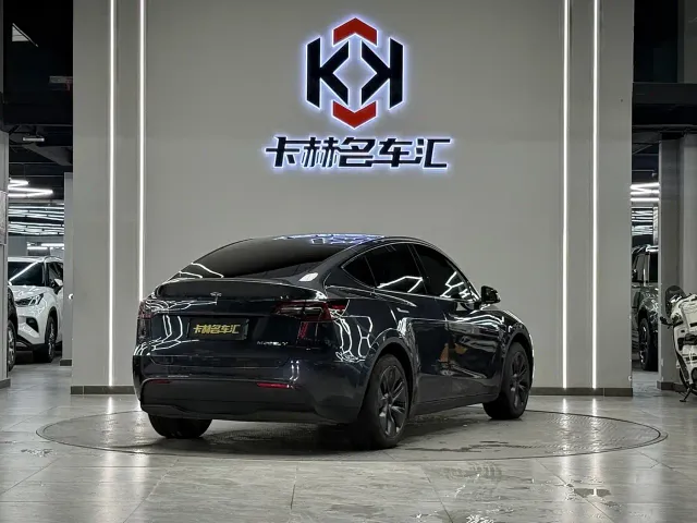 Tesla Model Y — Фото автомобиля 6