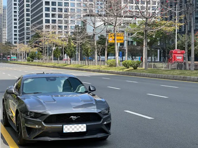 Ford Mustang — Фото автомобиля 3