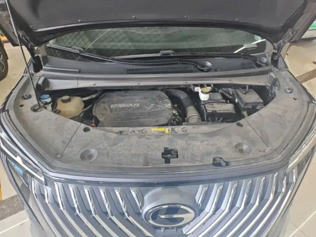 GAC Trumpchi M8 — Фото автомобиля 19