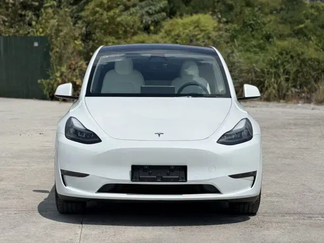 Tesla Model Y — Фото автомобиля 2