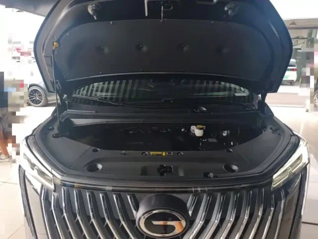 GAC Trumpchi M8 — Фото автомобиля 19