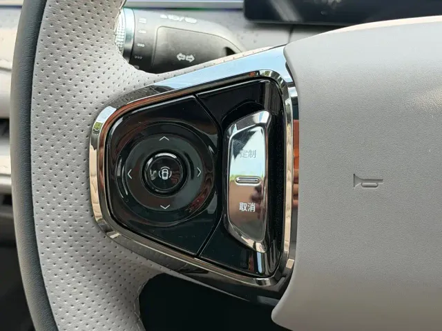 Geely Galaxy Xingyao 8 — Фото автомобиля 14