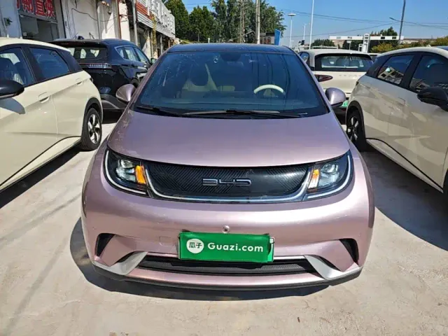 BYD Dolphin — Фото автомобиля 2