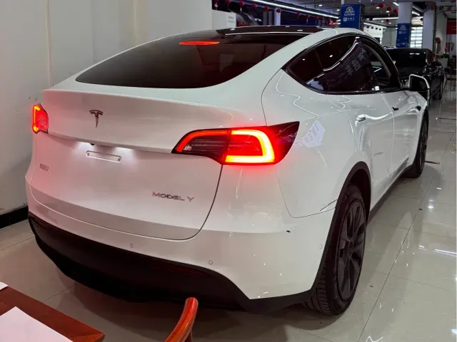 Tesla Model Y — Фото автомобиля 8