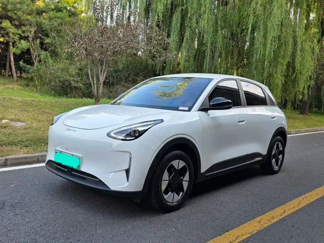 Фотография автомобиля — Geely Starry Wish