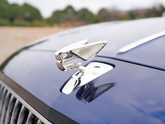 Bentley Flying Spur — Фото автомобиля 5