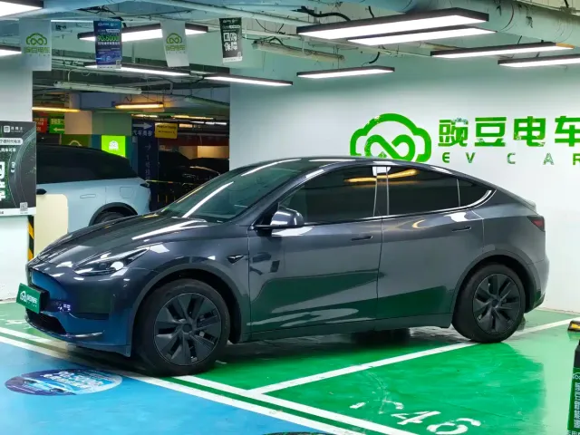 Tesla Model Y — Фото автомобиля 2