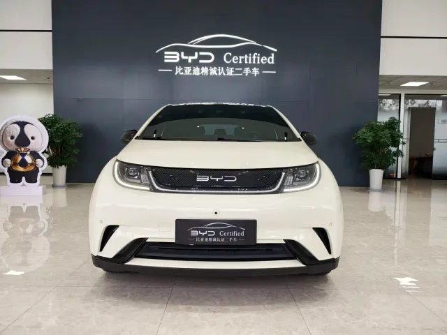 BYD Dolphin — Фото автомобиля 2