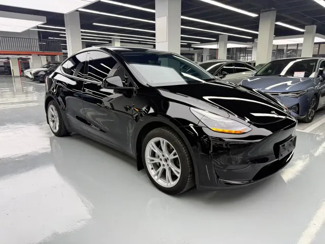 Tesla Model Y — Фото автомобиля 3