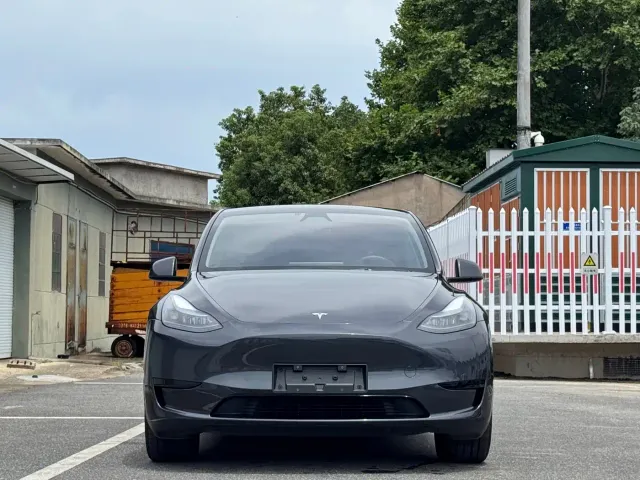 Tesla Model Y — Фото автомобиля 2