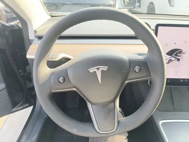 Tesla Model 3 — Фото автомобиля 10