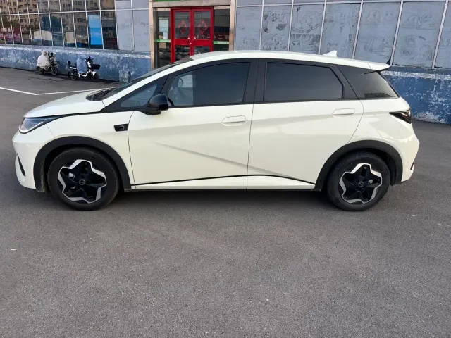 BYD Dolphin — Фото автомобиля 4
